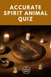 How To Find What Your Spirit Animal Is?