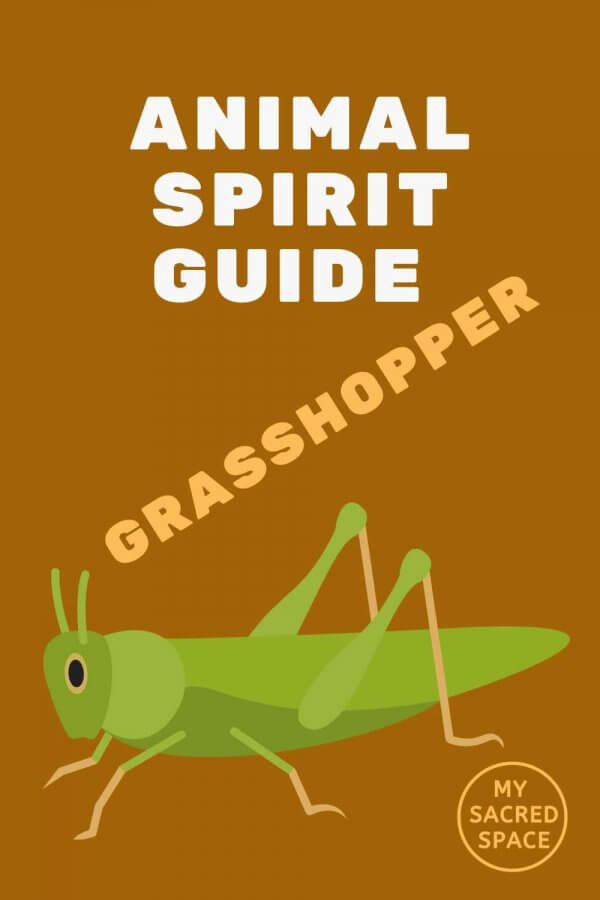 what-does-a-grasshopper-symbolize-spiritual-meanings