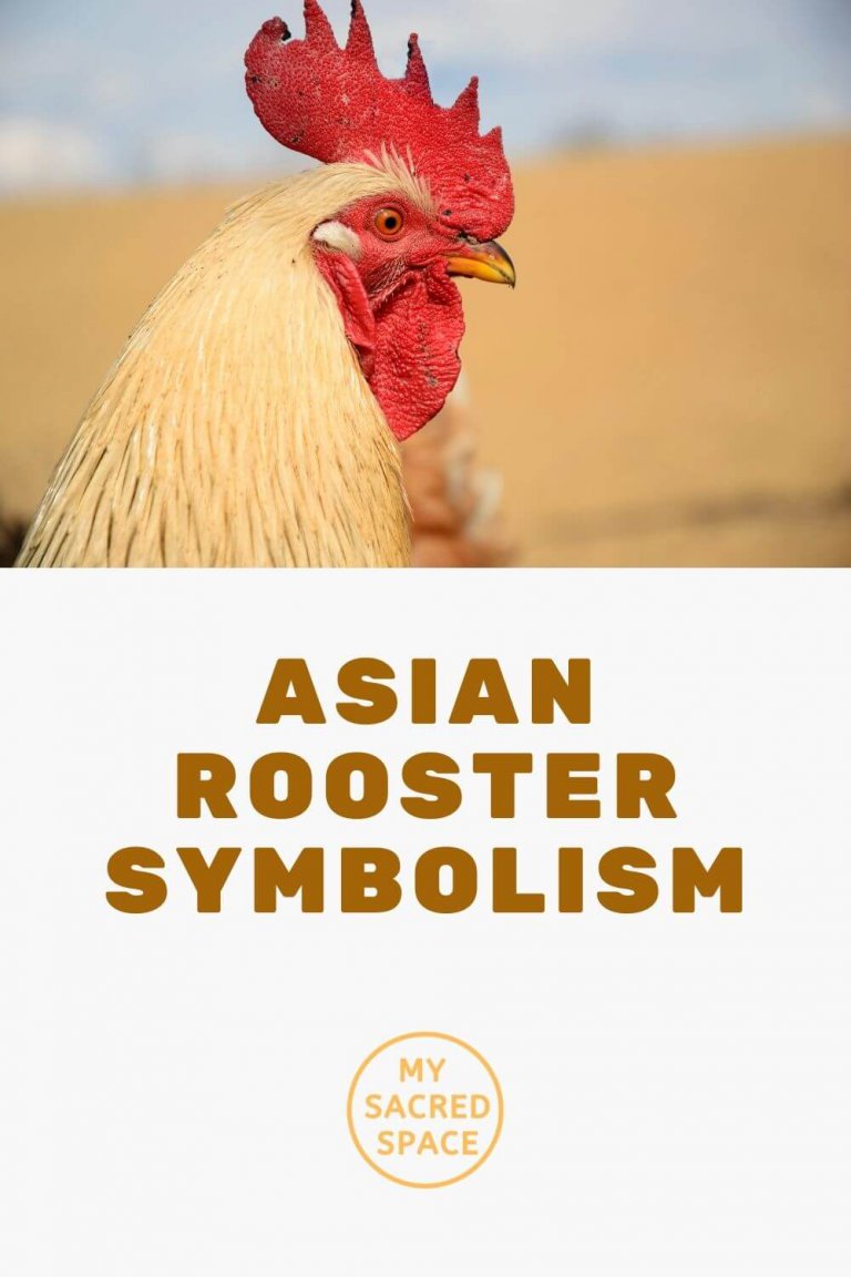 what-does-a-rooster-spirit-animal-mean-and-symbolize-my-sacred-space