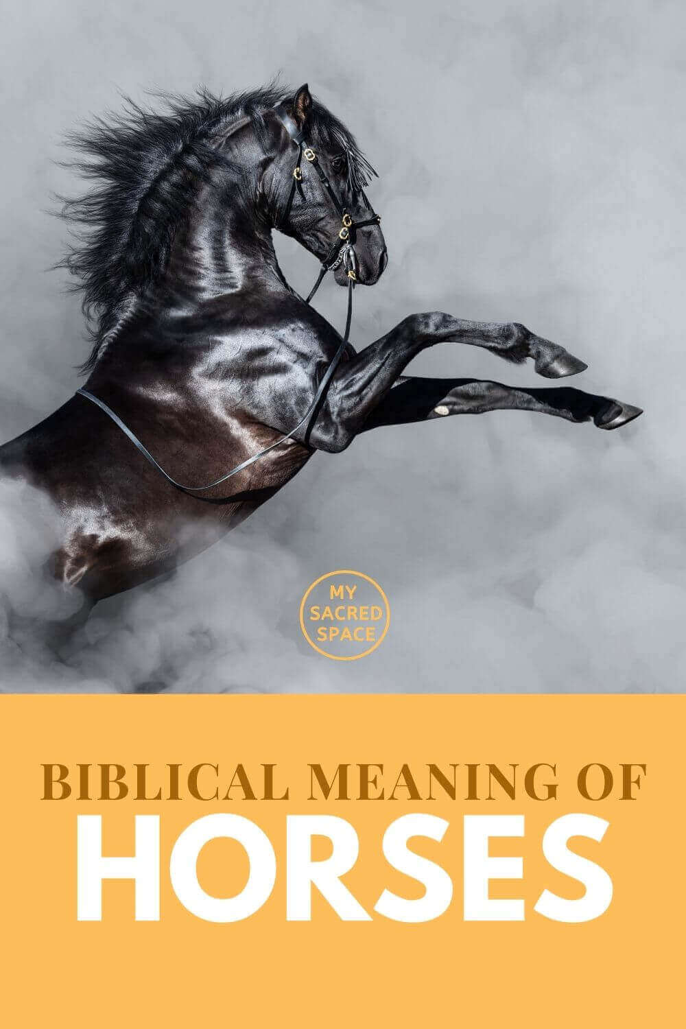 What Horse Symbolize In The Bible