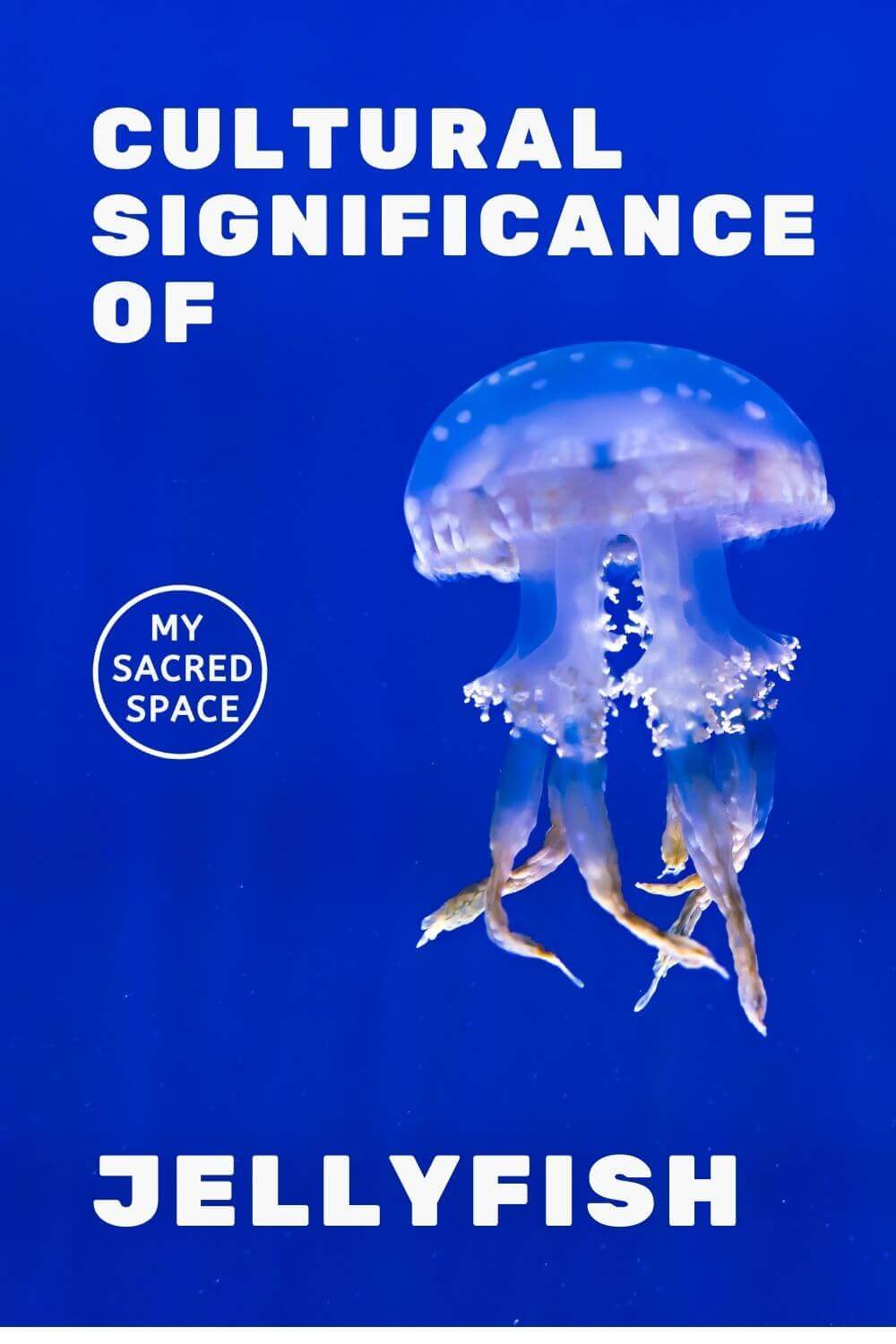 What Does a Jellyfish Spirit Animal Mean and Symbolize? My Sacred