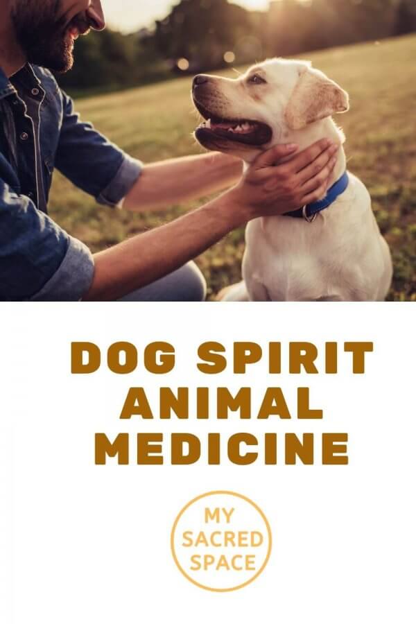 What Does a Dog Spirit Animal Mean and Symbolize? My Sacred Space Design