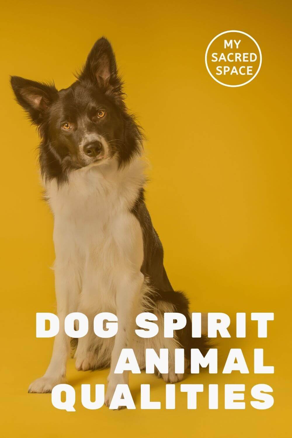Dog Spirit Animal Qualities 