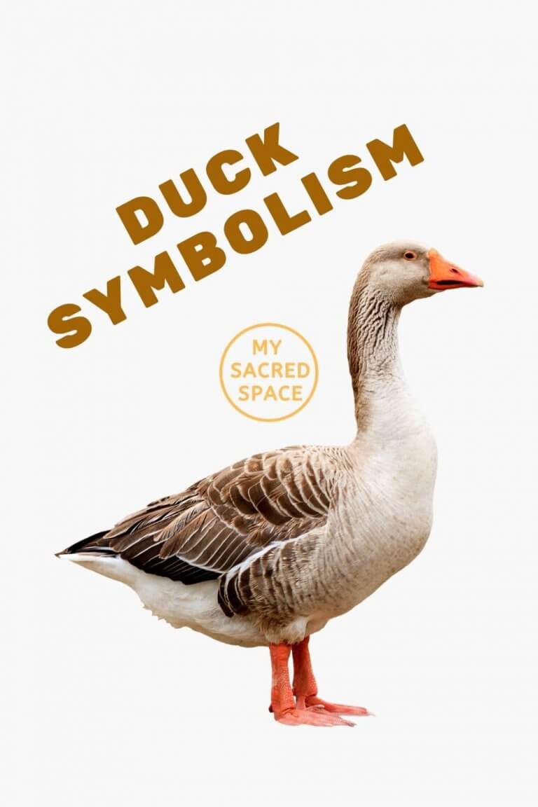 what-does-a-duck-spirit-animal-mean-and-symbolize-my-sacred-space-design