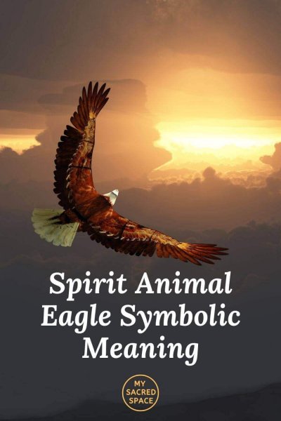 spirit animal eagle symbolic meaning
