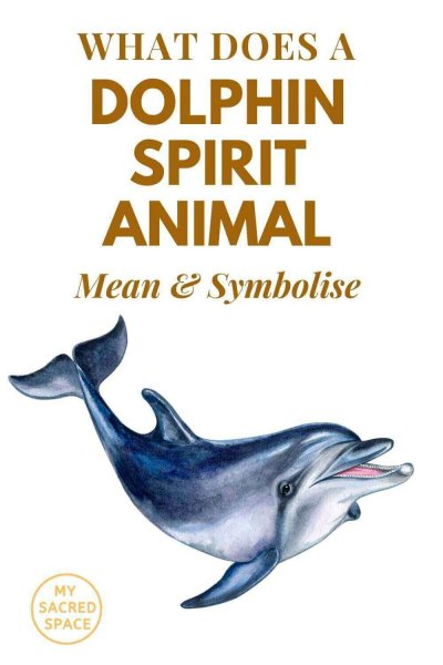 what does a dolphin spirit animal mean and symbolise