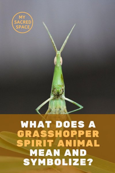 what does a grasshopper spirit animal mean and symbolize