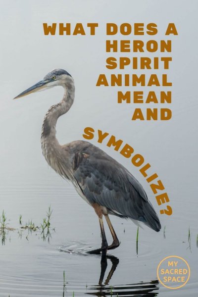 what does a heron spirit animal mean and symbolize