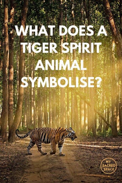 what does a tiger spirit animal symbolise