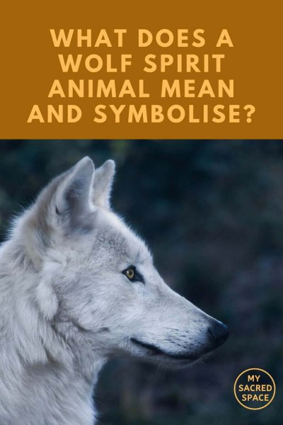 what does a wolf spirit animal mean