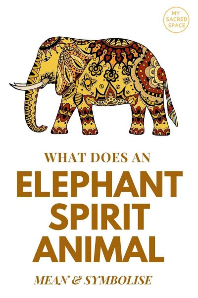what does an elephant spirit animal mean and symbolise