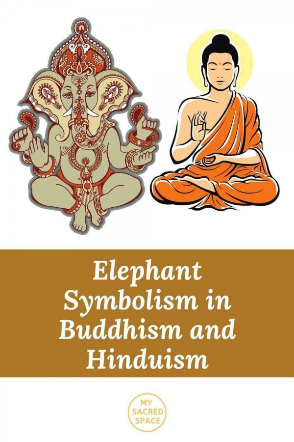 What Does an Elephant Spirit Animal Mean and Symbolise