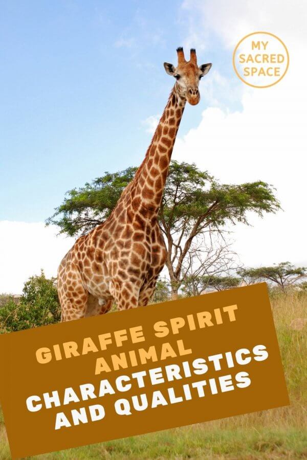 What Does a Giraffe Spirit Animal Mean and Symbolize?