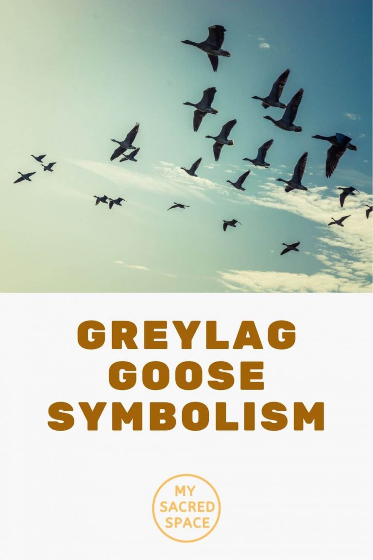 What Does a Goose Spirit Animal Mean and Symbolize? My Sacred Space Design