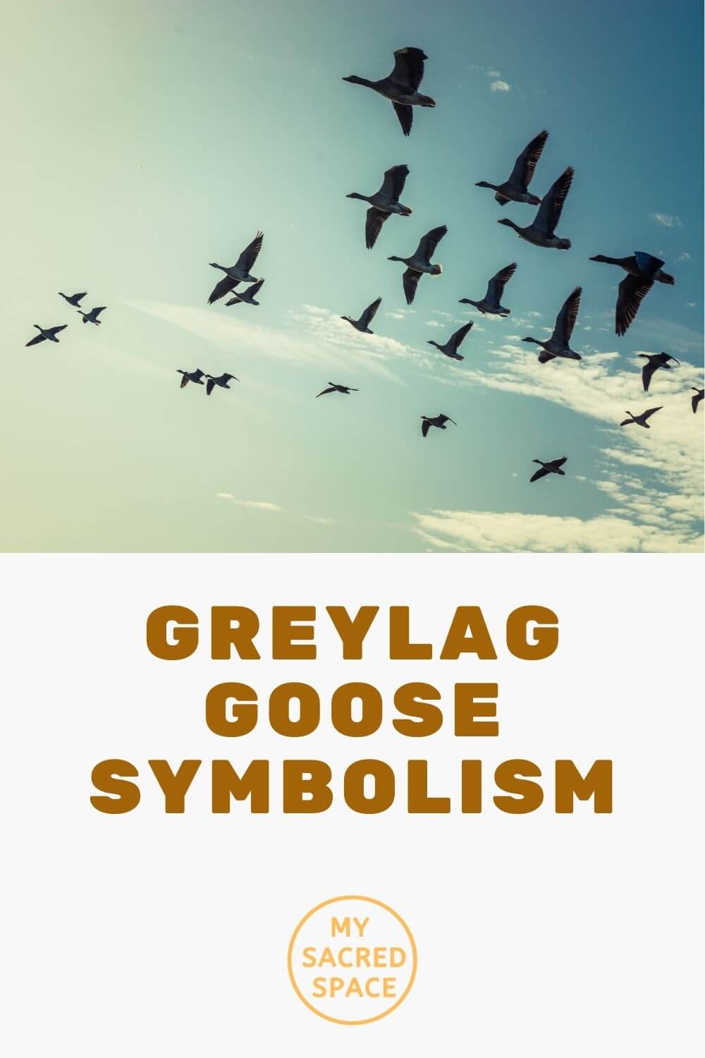 What Does a Goose Spirit Animal Mean and Symbolize?