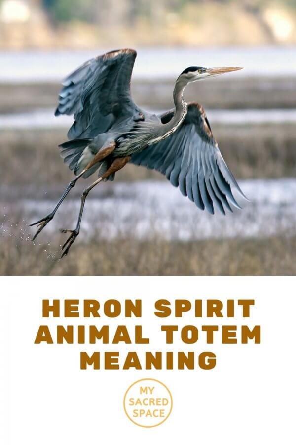 What Does a Heron Spirit Animal Mean and Symbolize? - My Sacred Space ...