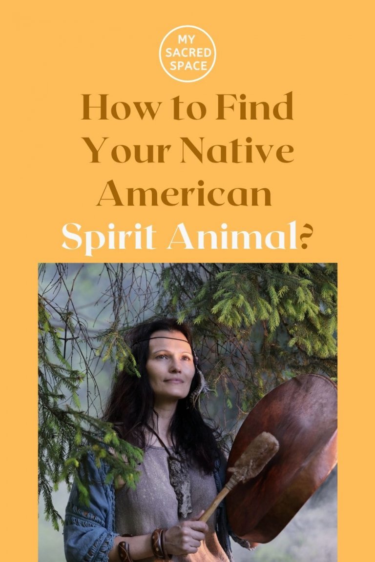 How To Find What Your Spirit Animal Is? My Sacred Space Design