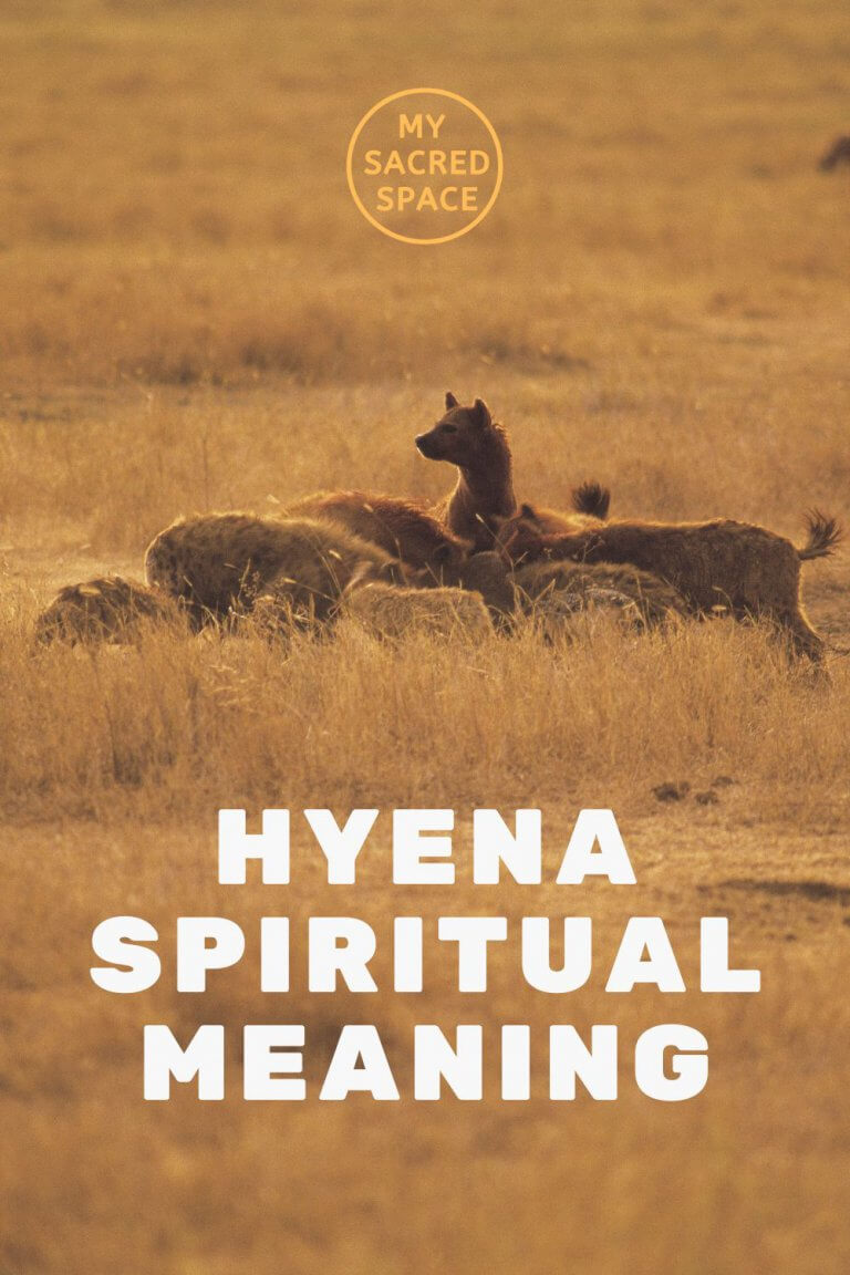 What Does a Spirit Animal Hyena Mean and Symbolize? - My Sacred Space ...