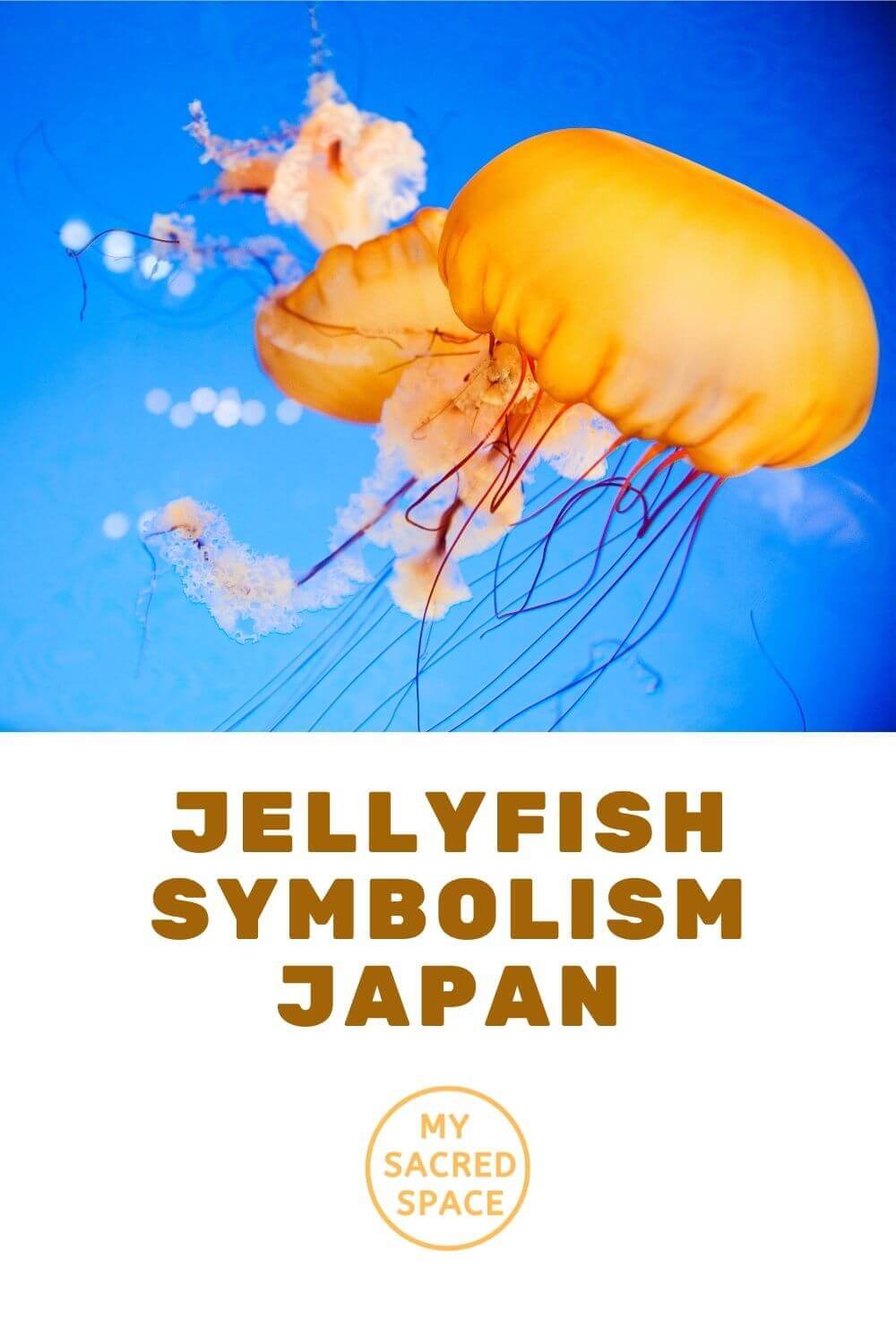 what-does-a-jellyfish-spirit-animal-mean-and-symbolize-2022