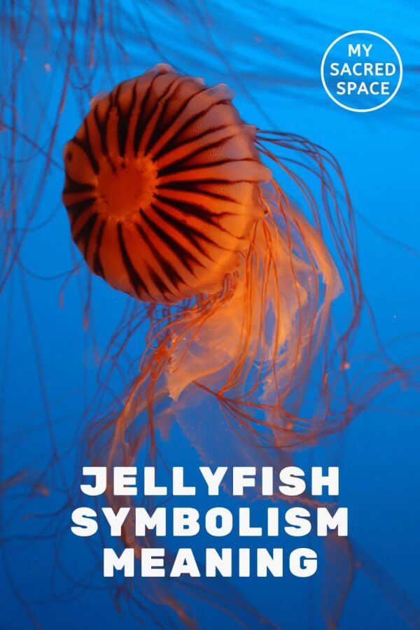 what-does-a-jellyfish-spirit-animal-mean-and-symbolize-my-sacred