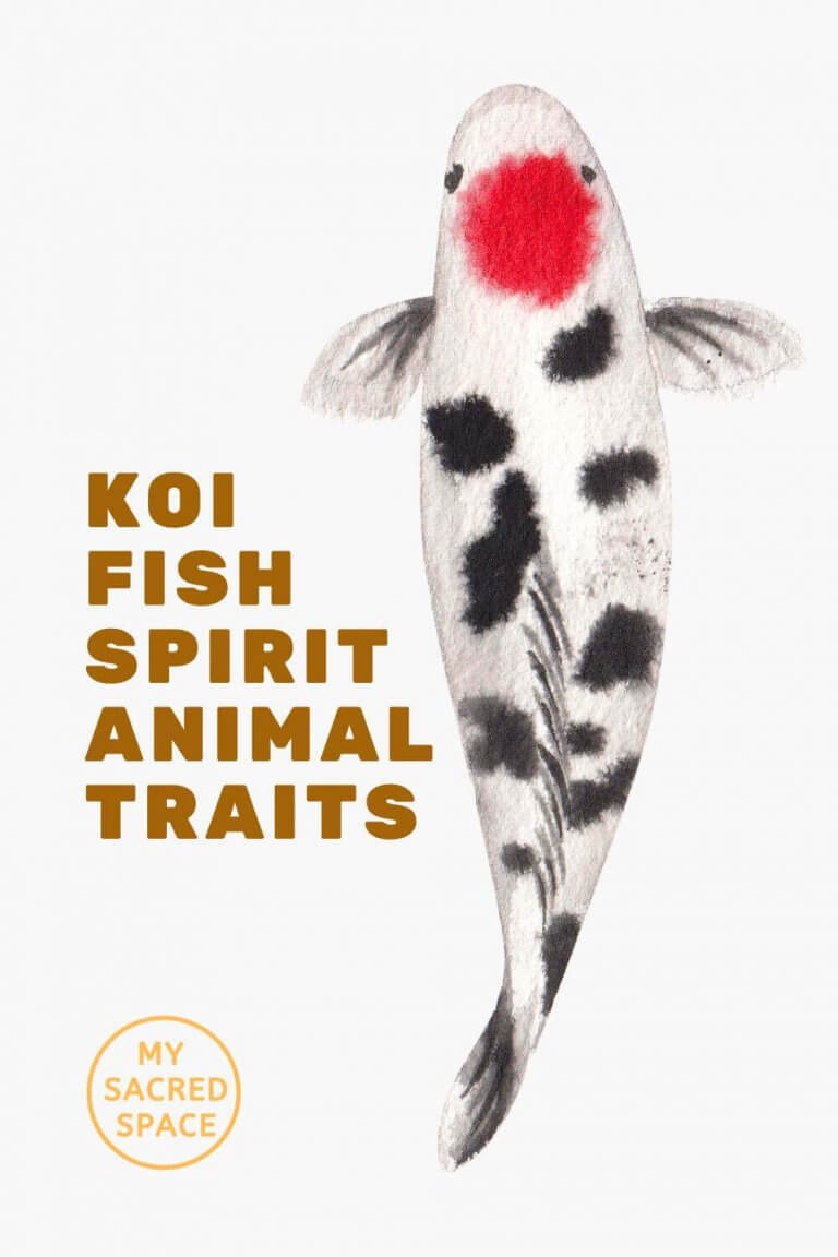 What Does a Spirit Animal Koi Fish Mean and Symbolize? - My Sacred ...