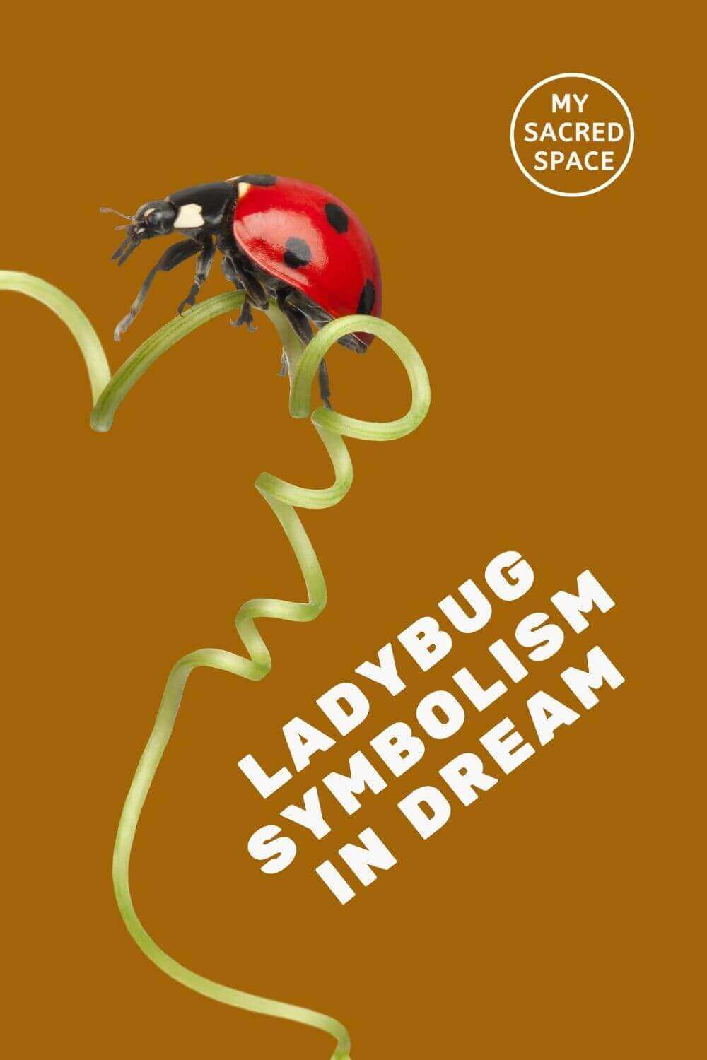 What Does A Ladybug Spirit Animal Mean And Symbolize? - My Sacred Space ...