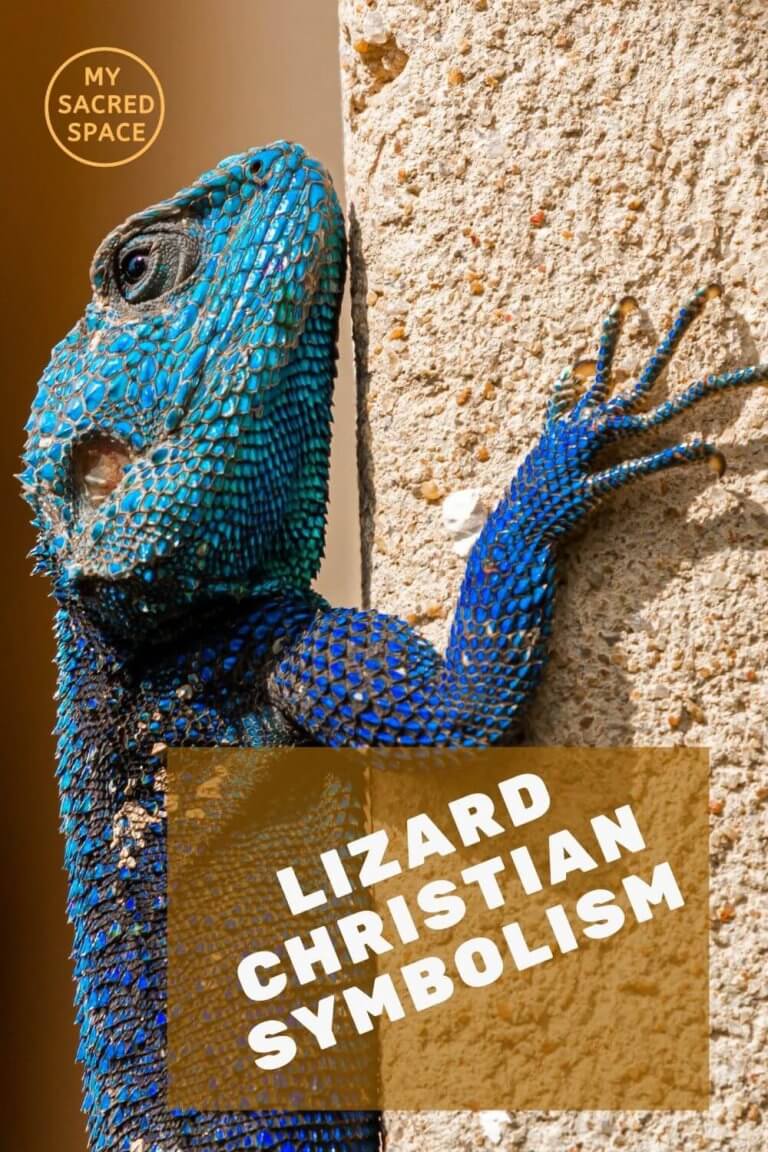 what-does-a-lizard-spirit-animal-mean-and-symbolize-my-sacred-space