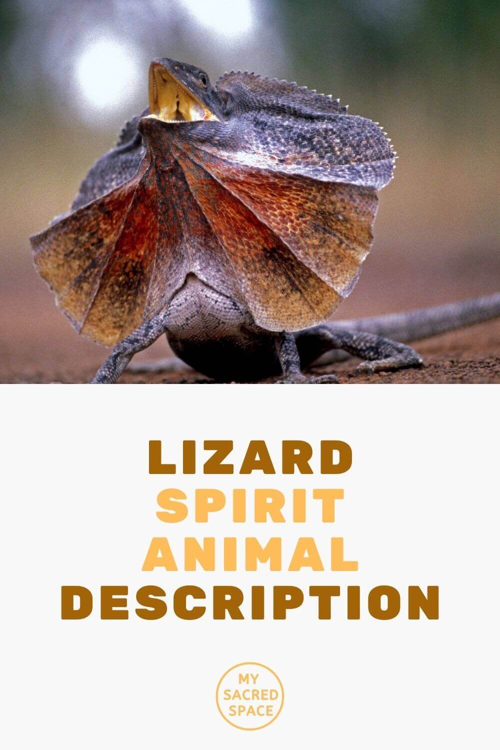 What Does a Lizard Spirit Animal Mean and Symbolize? My Sacred Space