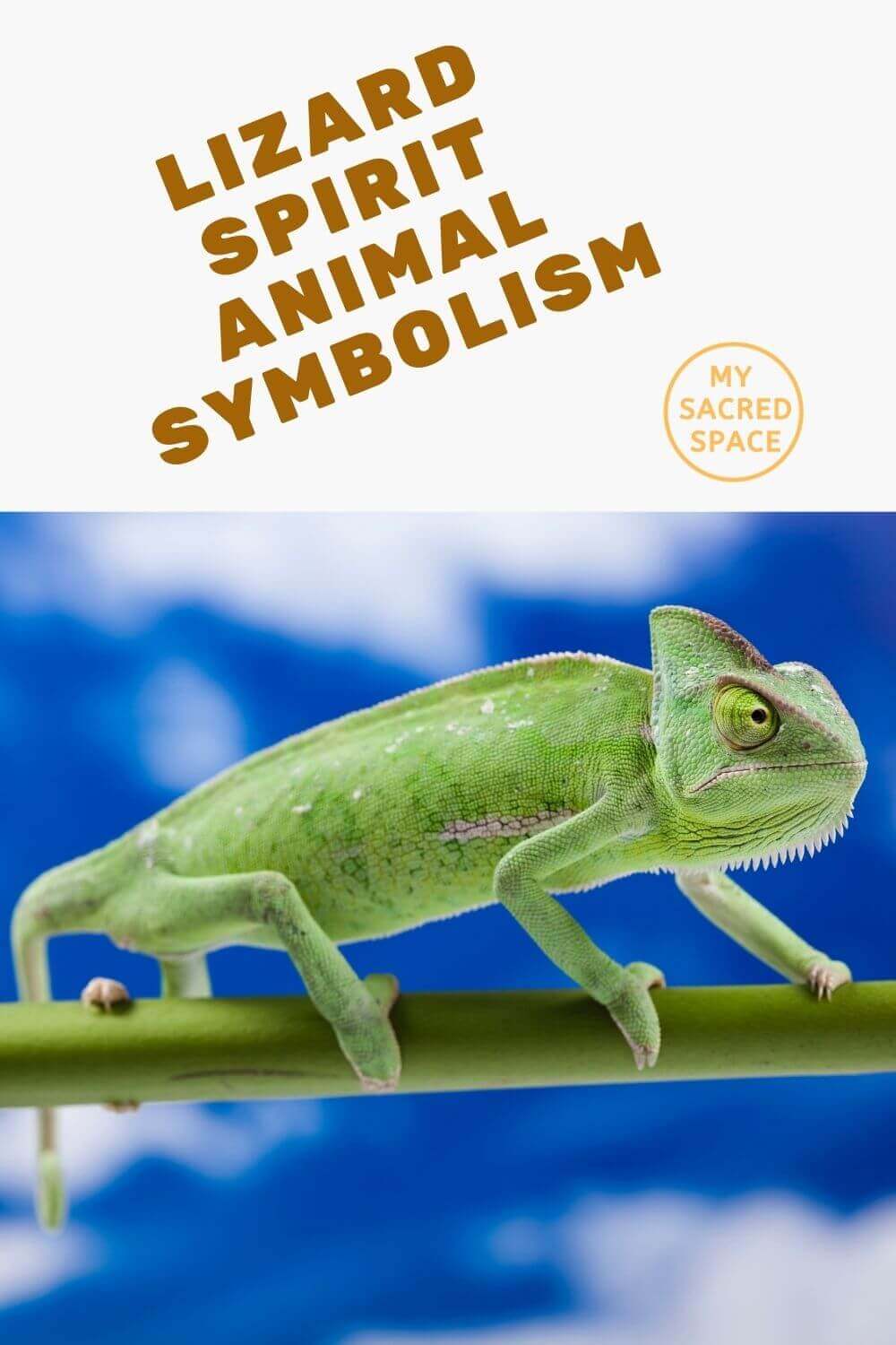 greek lizard symbolism