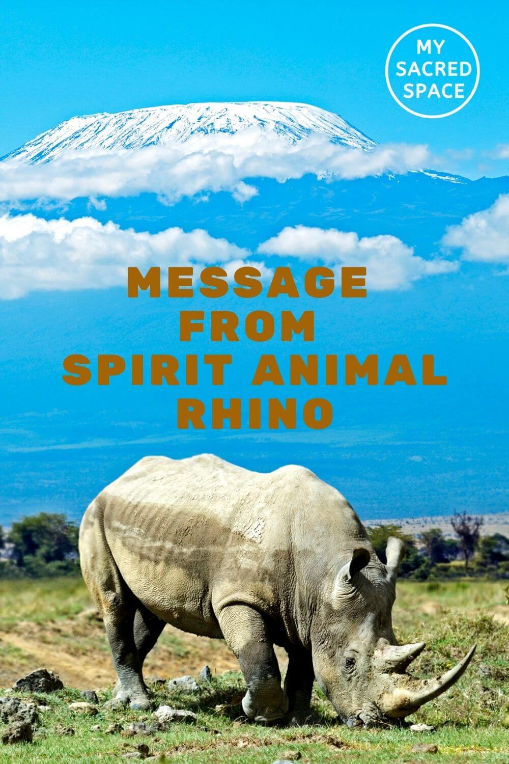 What Does a Rhino Spirit Animal Mean and Symbolize? - My Sacred Space