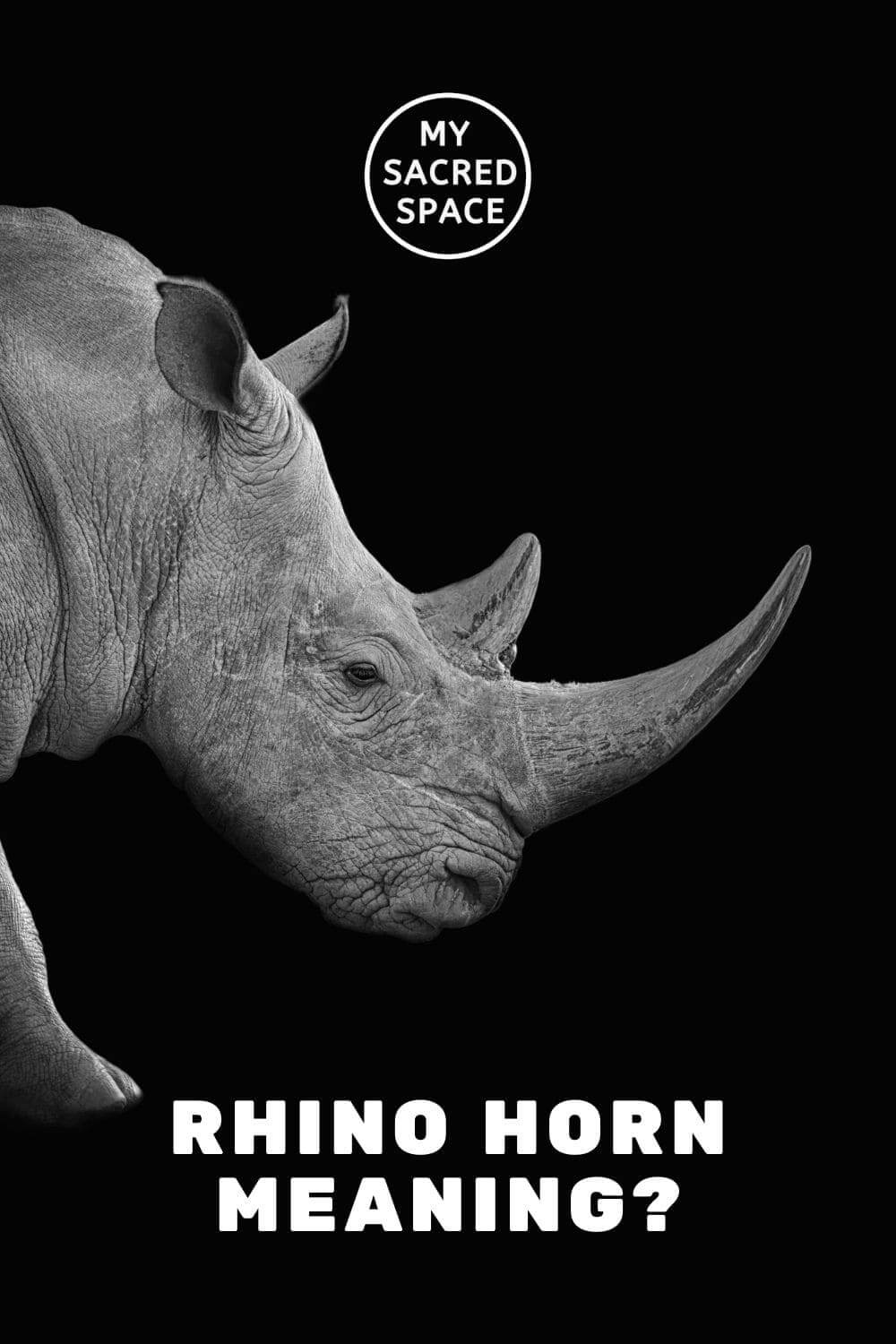 What Does a Rhino Spirit Animal Mean and Symbolize? - My Sacred Space