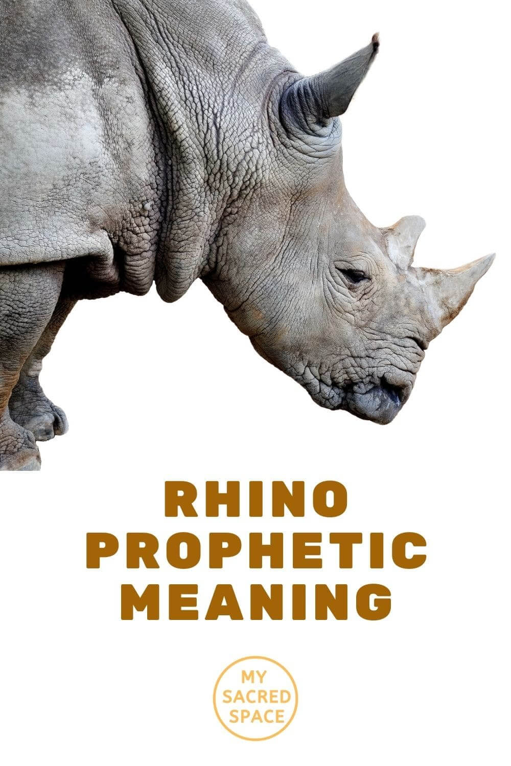 What Does a Rhino Spirit Animal Mean and Symbolize? - My Sacred Space