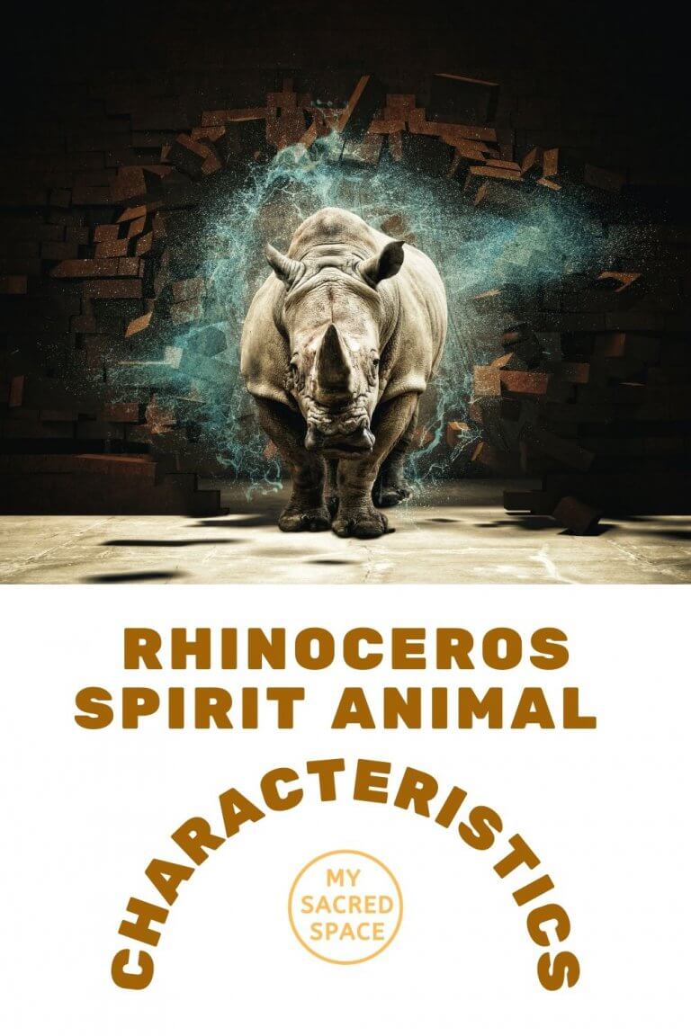 What Does a Rhino Spirit Animal Mean and Symbolize? - My Sacred Space