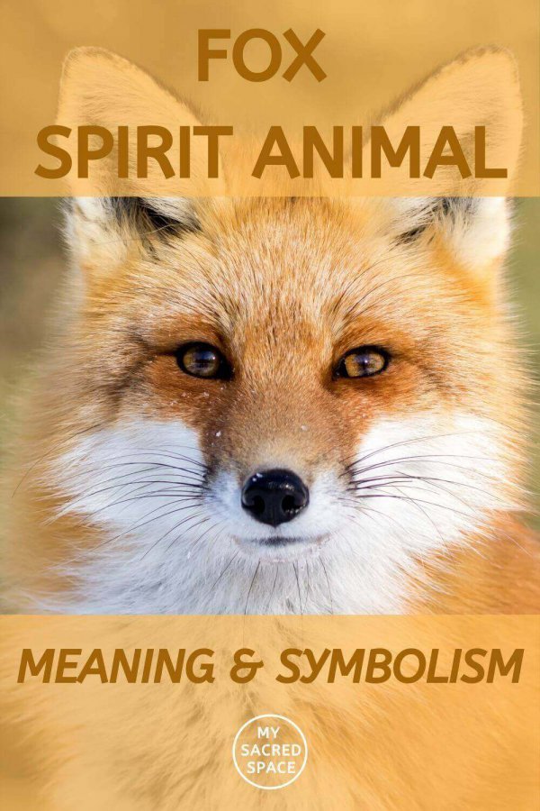 spirit animal fox meaning and symbolism