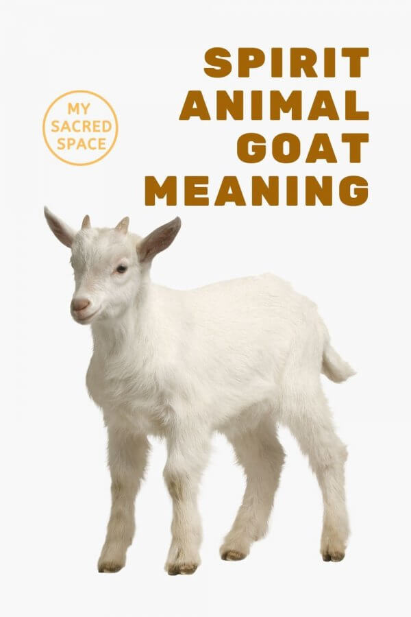 What Does a Goat Spirit Animal Mean and Symbolize? My Sacred Space Design