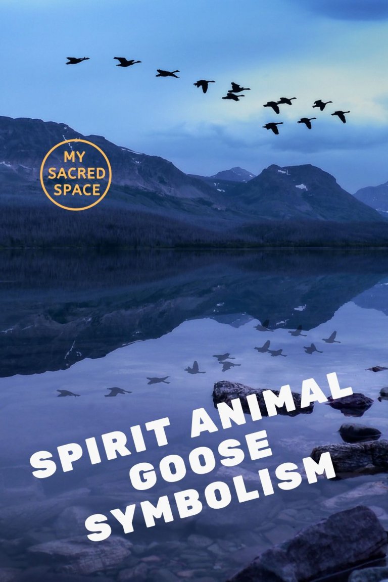 What Does A Goose Spirit Animal Mean And Symbolize?