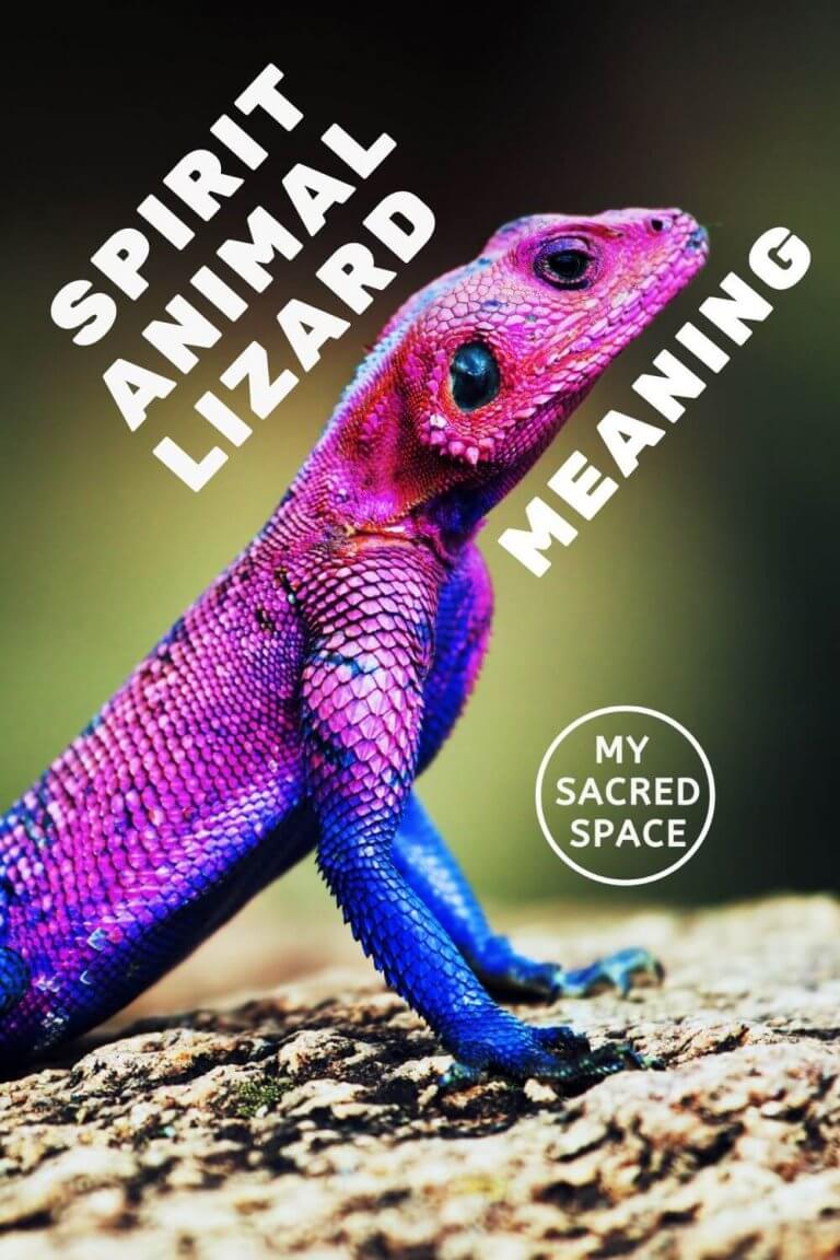 what-does-a-lizard-spirit-animal-mean-and-symbolize-my-sacred-space