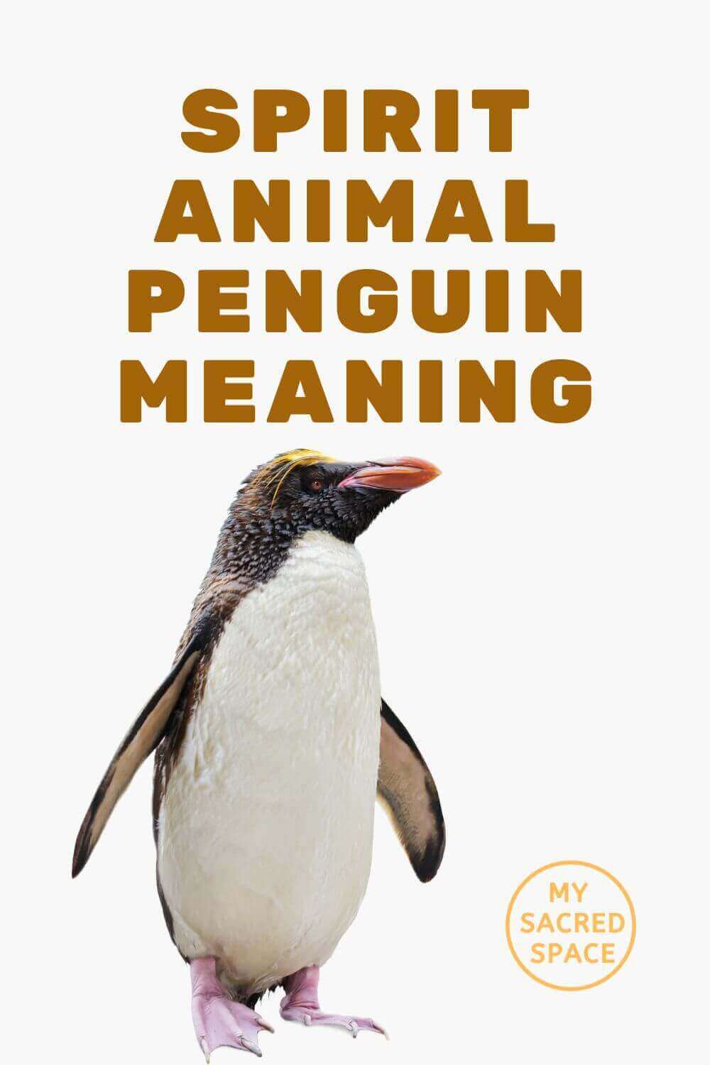 what-does-a-penguin-spirit-animal-mean-and-symbolize-my-sacred-space