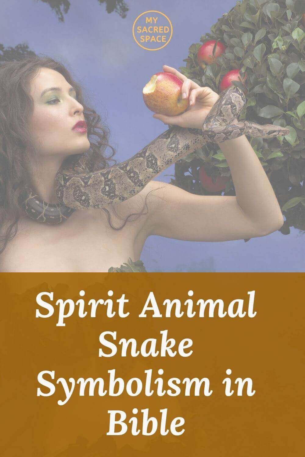 what-does-a-snake-spirit-animal-mean-and-symbolise-2022-azsage