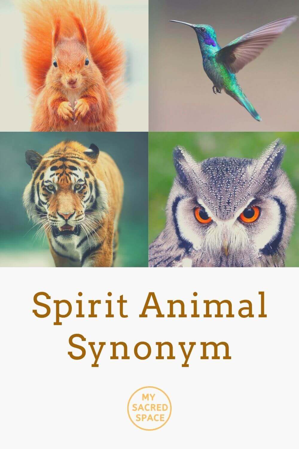 what-is-the-purpose-of-a-spirit-animal-my-sacred-space-design