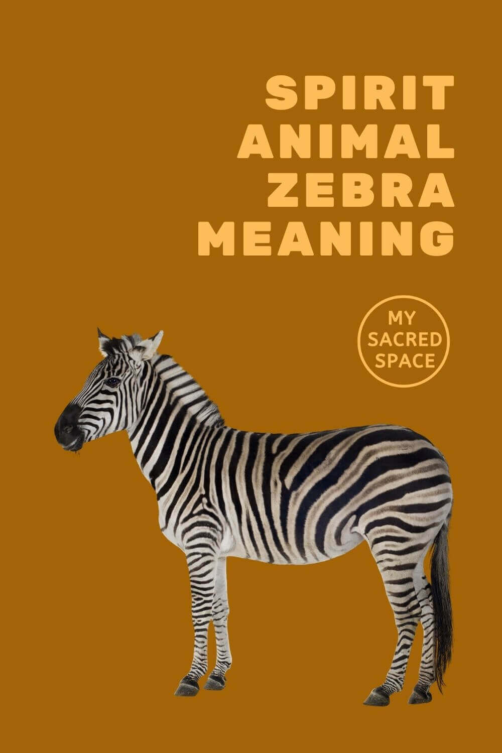 what-does-a-zebra-spirit-animal-mean-and-symbolize-my-sacred-space-design