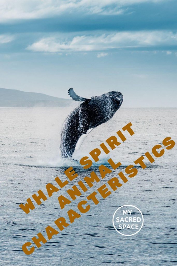 What Does a Whale Spirit Animal Mean and Symbolize? - My Sacred Space Design
