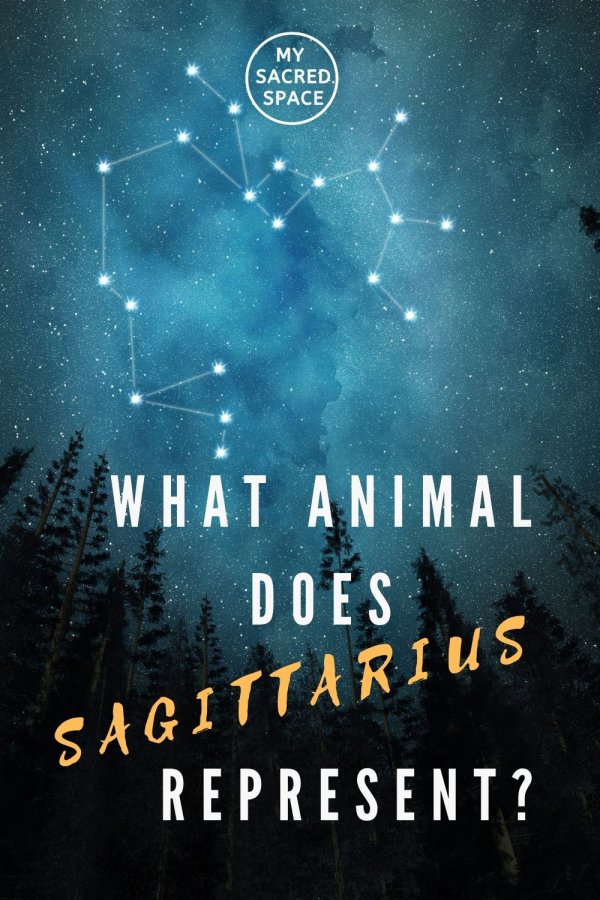 Spirit Animal Sagittarius: What Is The Spirit Animal For Sagittarius?