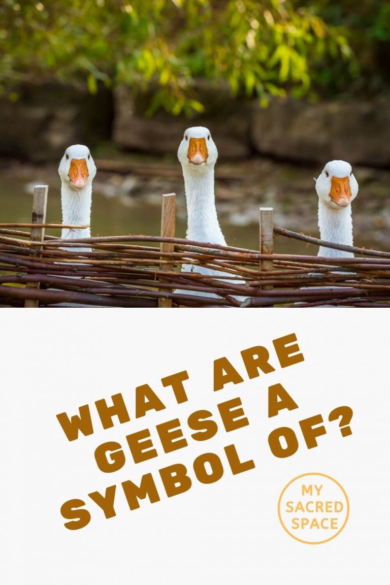 what-does-a-goose-spirit-animal-mean-and-symbolize-my-sacred-space