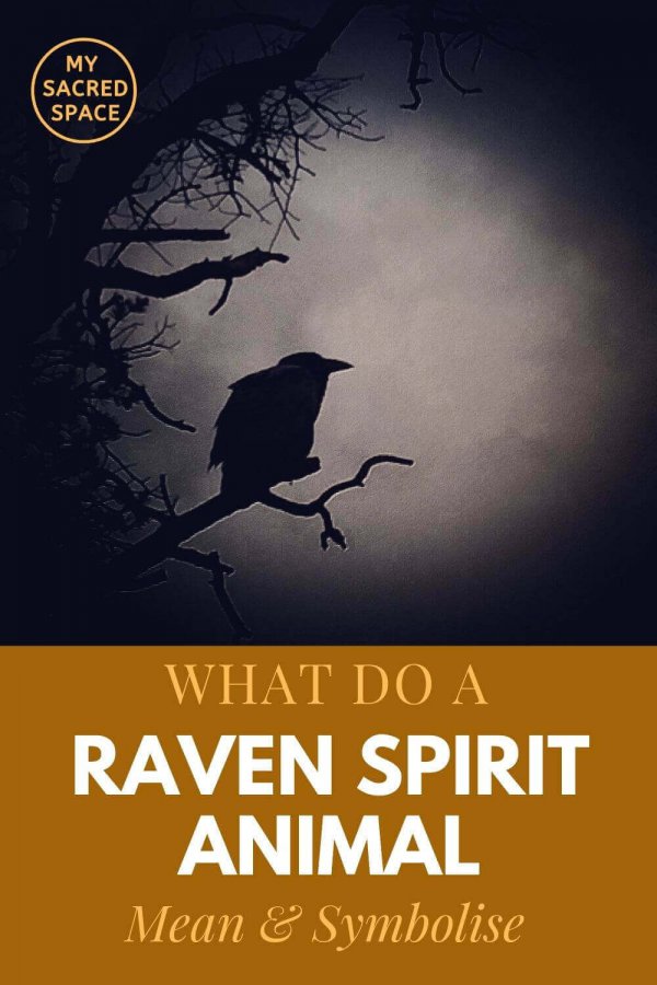 what do a raven spirit animal mean and symbolise