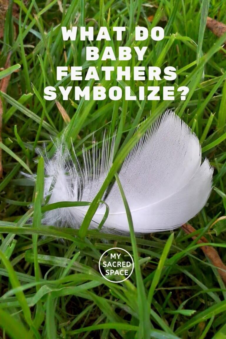 What Do Colored Feathers And Different Feathers Symbolize My Sacred Space Design