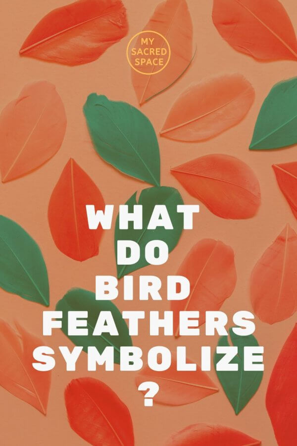 what do bird feathers symbolize