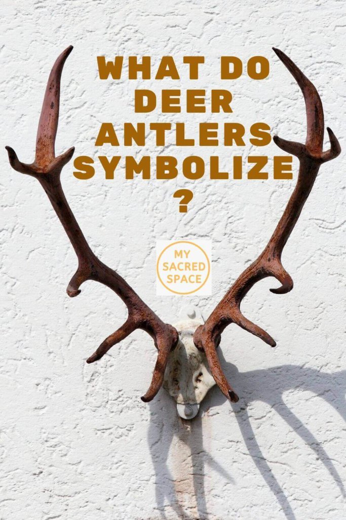 what-does-a-deer-symbolize-factory-clearance-save-45-jlcatj-gob-mx