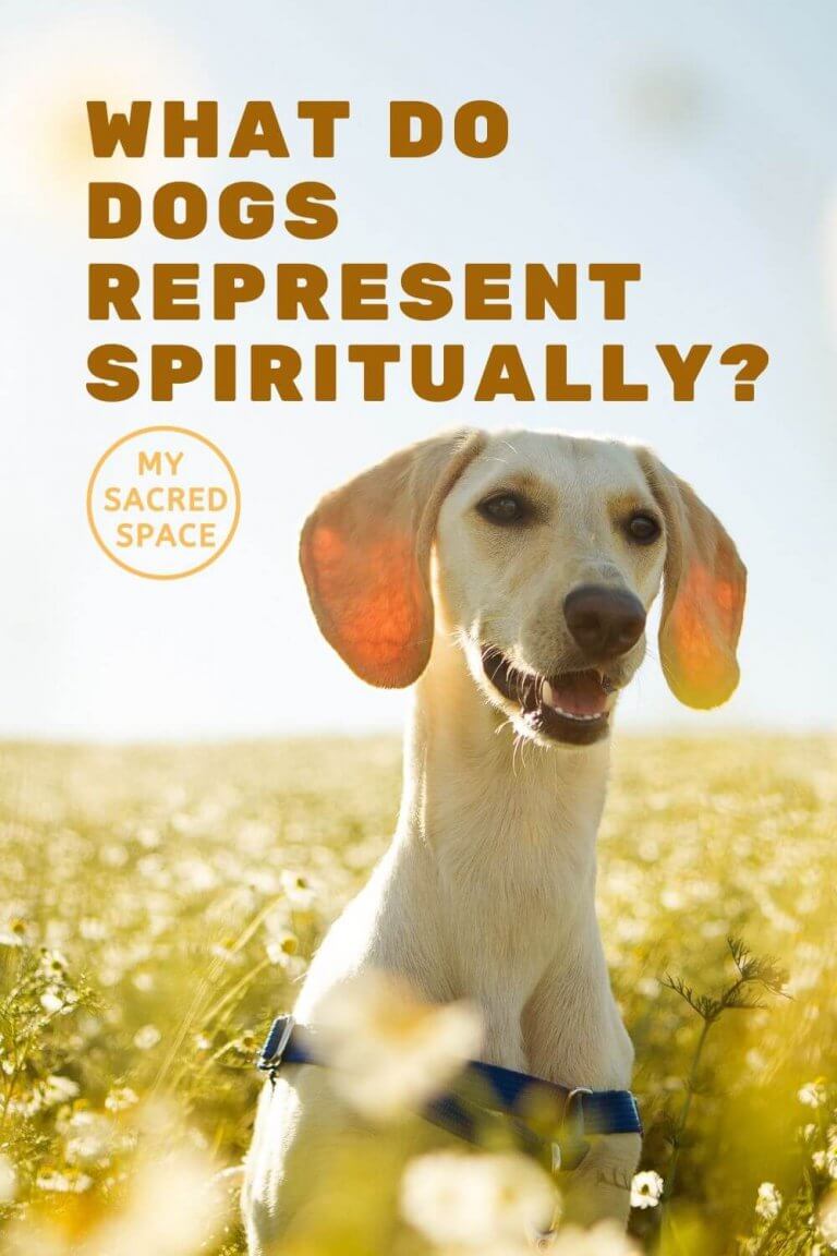 What Does a Dog Spirit Animal Mean and Symbolize?