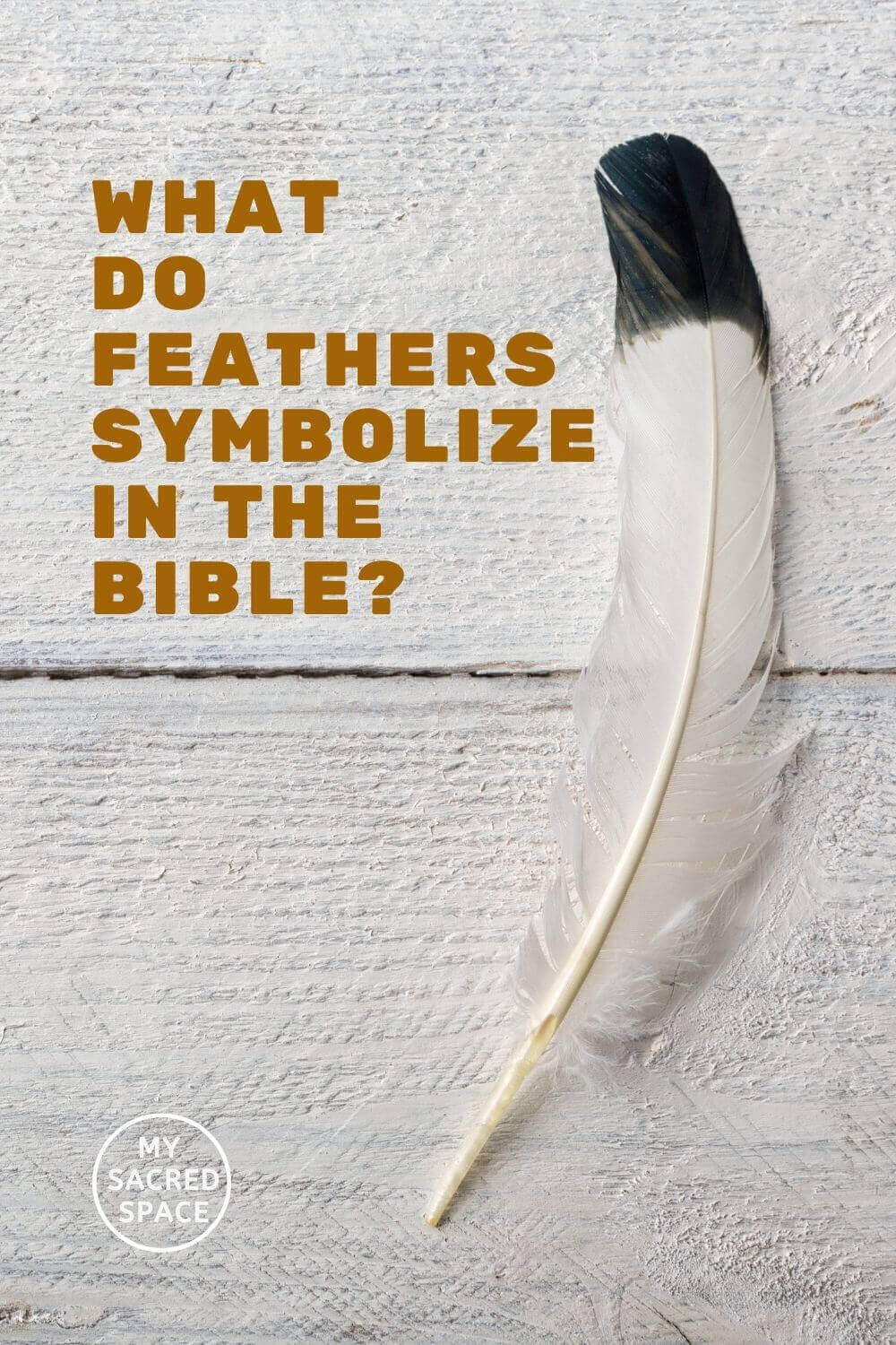 what-does-the-feather-symbolizes-my-sacred-space-design